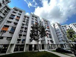 Blk 117 Chong Pang Vale (Yishun), HDB 4 Rooms #597464831